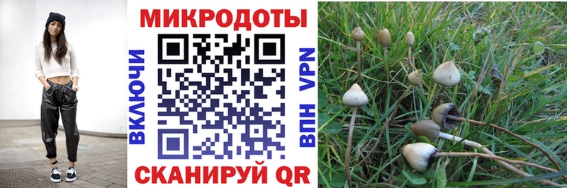 Галлюциногенные грибы мухоморы  OMG ТОР  Невьянск 
